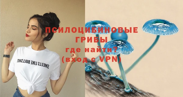 бошки Аркадак