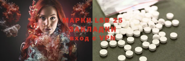 PSILOCYBIN Армянск