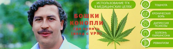 бошки Аркадак