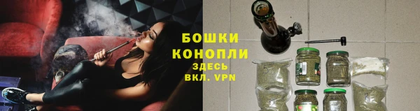 бошки Аркадак