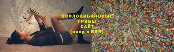 бошки Аркадак