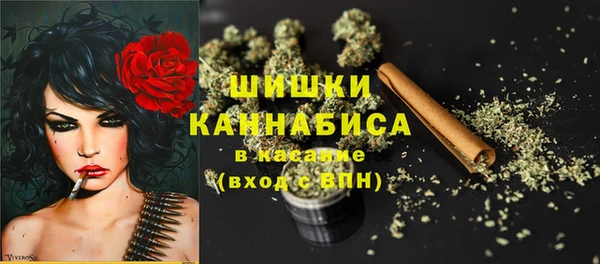 бошки Аркадак