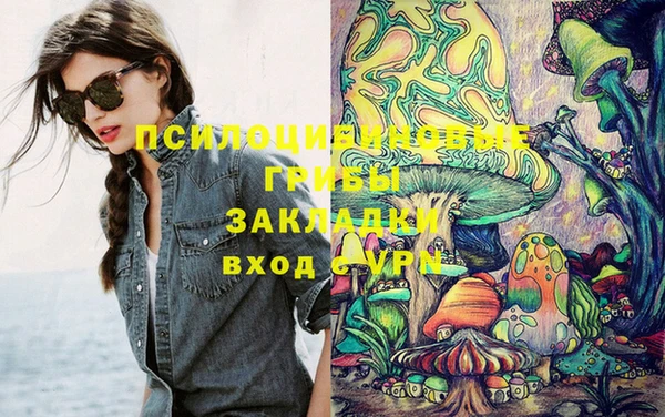 PSILOCYBIN Армянск